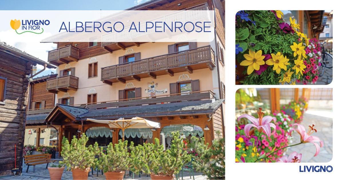 Albergo Alpenrose Livigno Eksteriør bilde