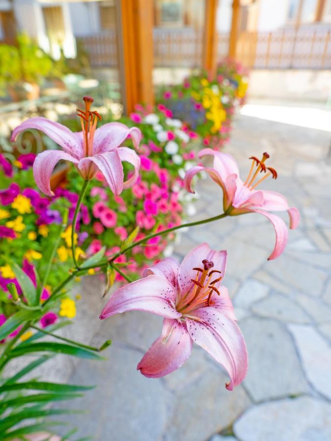 Albergo Alpenrose Livigno Eksteriør bilde