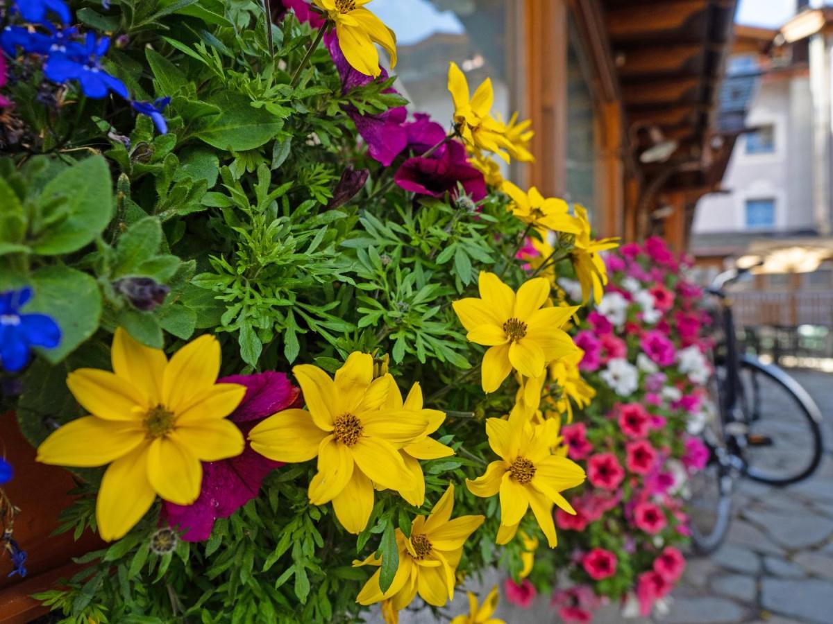 Albergo Alpenrose Livigno Eksteriør bilde